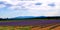 lavender nursery with mountains in the background in provence, france