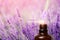 Lavender oil with dropping pipette. Background is purple. Concept beauty of nature