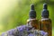 Lavender oil and lavender sprigs on blurred green background.Base cosmetic oil for massage and care for face and body