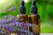 Lavender oil and sprigs on blurred green background.Base cosmetic oil for massage and care for face and body. Lavender