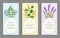 Lavender and Olibanum Set Vector Illustration