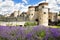 Lavender outside the Tower of London