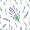 Lavender pattern. Seamless France garden herbal print with flowers bouquets. Decorative floral background. Summer