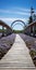 Lavender Petal Covered Pedestrian Bridges In Acadia National Park