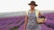 Lavender production and essential oil producer. Authentic woman farmer growing lavender in the field. The Lavender Farm