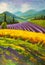 Lavender purple field painting. Italian summer countryside. French Tuscany. Field of yellow rye. Rural houses and high cypress tre