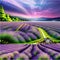 Lavender purple fields, green meadows and mountains. Farm panoramic view
