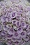 Lavender roses centerpiece flowers