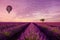 Lavender rows lines with lonely tree and hot air balloon at sunset iconic Provence fields