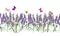 Lavender seamless frame wirh honey bees, butterflies. Watercolor floral repeating stripe