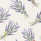 Lavender seamless pattern - handdrawn style graphic