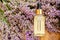 Lavender Serum, essential oil in glass dropper bottle on fresh lavender flowers. Lavender skincare cosmetic. Natural spa beauty