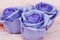 Lavender soap petals