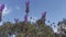 Lavender stems seen over blue sky with clouds