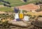 Lavender still life with cup of coffee against fields in Provence, France