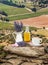 Lavender still life with cup of coffee against fields in Provence, France