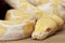 Lavender Tiger Albino Python