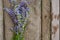 Lavender twigs on a gray wooden surface. Top view