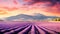 Lavender Twilight Serenity: Sunset Over Grenoble\\\'s Fields