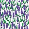 Lavender vector drawing seamless pattern. wild flower and leaves. Herbal artistic style background.