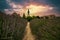 Lavender VILLAGE, Fram, COUNTRYSIDE. ROMAN CHURCH RUINS. HUNGARY DORGICSE on Lake Balaton. Beautiful purple lavender flowers