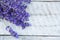 Lavender on a wooden background. Medicinal plant in bloom.
