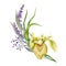 Lavender, yellow garden iris and wild meadow flowers watercolor design spring bouquet. Meadow grass greenery. Floral