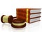 Law Books and Judge Gavel Mallet