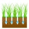 Lawn aeration for plant growth. Free access of water and air to soil. Lawn grass care, gardening and landscaping. Vector