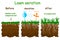 Lawn aeration stage illustration. Before and after aeration.