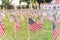 Lawn American flags with blurry row of people carry fallen soldiers banners parade