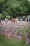 Lawn American flags with blurry row of people carry fallen soldiers banners parade