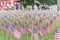 Lawn American flags with blurry row of people carry fallen soldiers banners parade