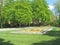 Lawn with blooming pansies of many colors