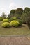 Lawn, bush and trees arranged on spring park picture