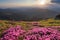 From the lawn covered with marvelous pink rhododendrons the picturesque view is opened to high mountains, valley, pink sky, sunset