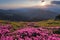 From the lawn covered with marvelous pink rhododendrons the picturesque view is opened to high mountains, valley, pink sky, sunset