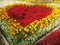 Lawn decoration with colorful flowers. Yellow, white, red buds of plants. Landscape design