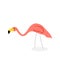 Lawn flamingo icon