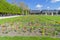 Lawn with flowers in the garden of the Tuileries. Paris, France.