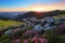 A lawn with flowers of rhododendron among large stones. Mountain landscape with sunrise with interesting sky and clouds.