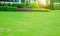 Lawn and garden, Green lawn, Landscape formal, Front yard is beautifully designed garden., Design background.