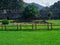 Lawn for grazing horses in the courtyard of a medieval castle. Lawn and pasture. Old architecture. Beautiful place. Lawn with