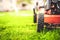 Lawn mower cut grass. Garden work. Electric Rotary lawn mower machine.