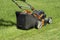 A lawn mower cuts the grass. A lawnmower shaves the lawn. Gardener`s job