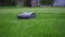 Lawn mower cutting green grass. Robot. Copyspace