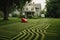 lawn mower leaving perfect stripes on backyard lawn