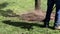 A lawn mower mows fresh, green grass on the lawn near, a municipal worker with lawn mower in his hand.