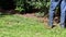 A lawn mower mows fresh, green grass on the lawn near, a municipal worker with lawn mower in his hand.