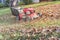 Lawn mower mulching autumn leaves near utility flag lawn care in Texas, USA